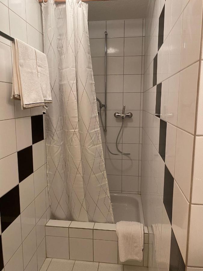 Private Studio Apartment In Bremgarten Εξωτερικό φωτογραφία